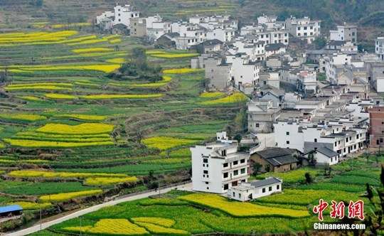 清明出游:国内十大旅游胜地不容错过(组图)(5)