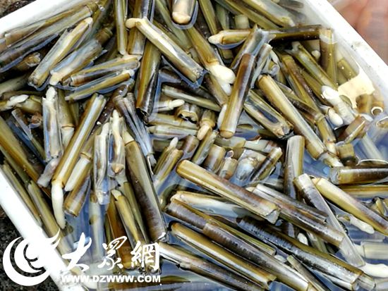 �糿7�cʯ���Ј��ĺ��|�ӸɜQ���r